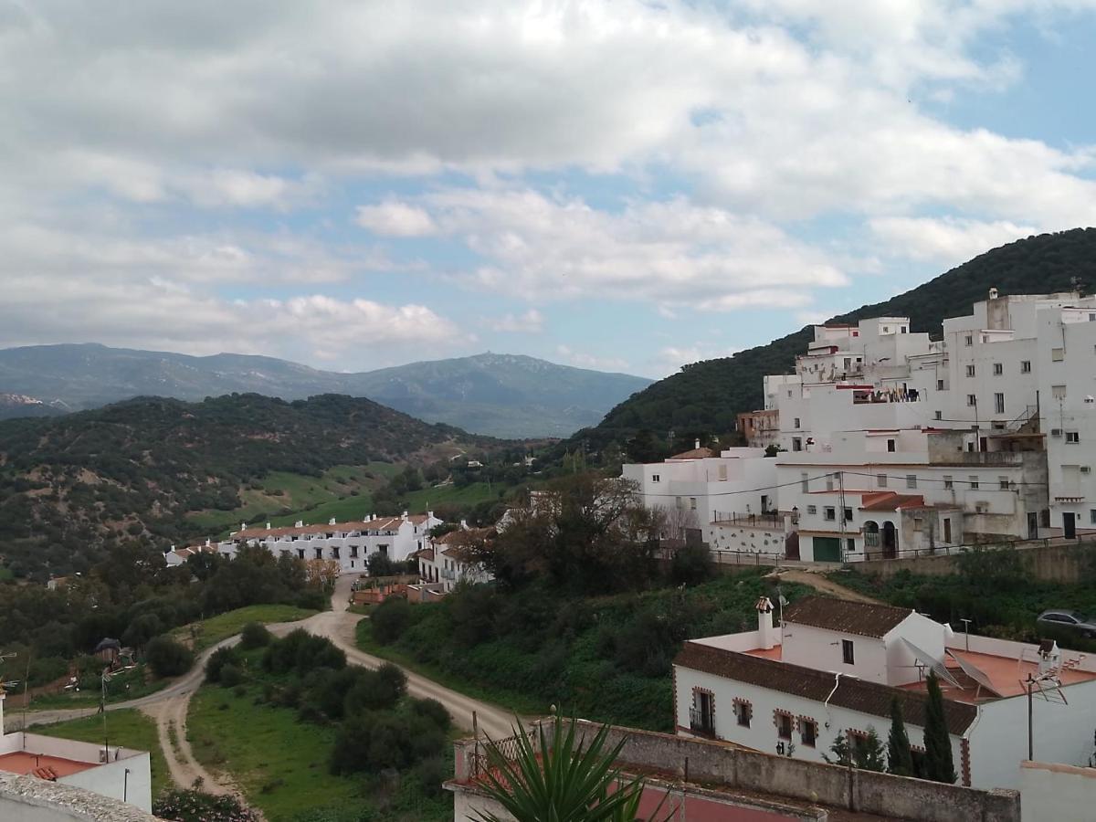 Alcalá de los Gazules Casita Gazul 빌라 외부 사진